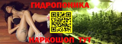 спиды Краснодар