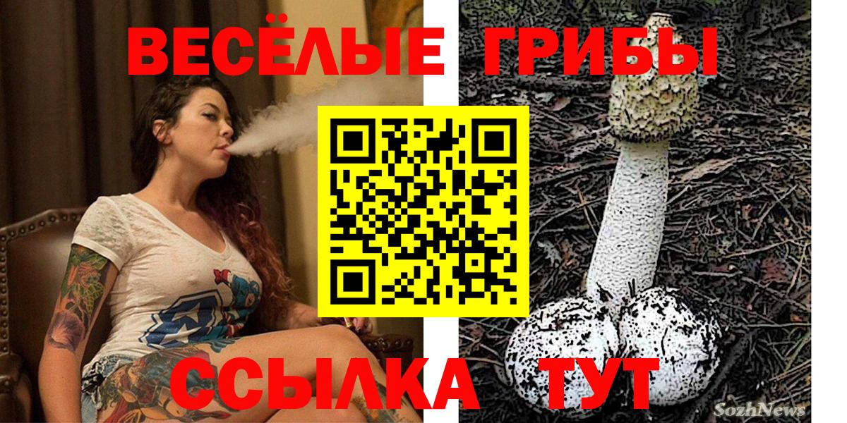 Екатеринбург  Псилоцибиновые грибы Cubensis  Вход с VPN 